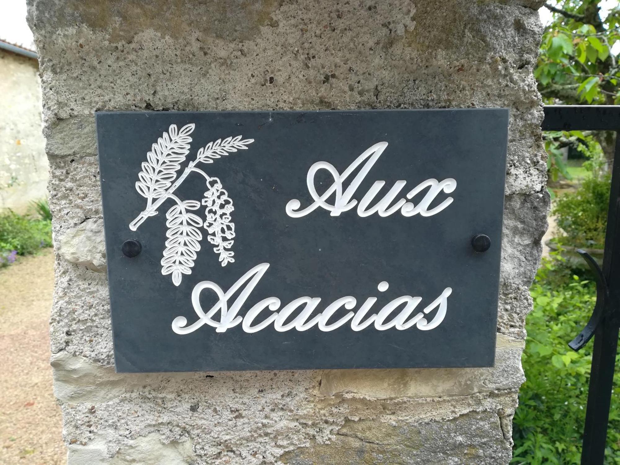 Aux Acacias Βίλα Braye-sous-Faye Εξωτερικό φωτογραφία